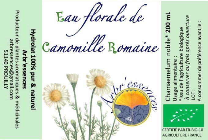 Hydrolat de camomille romaine