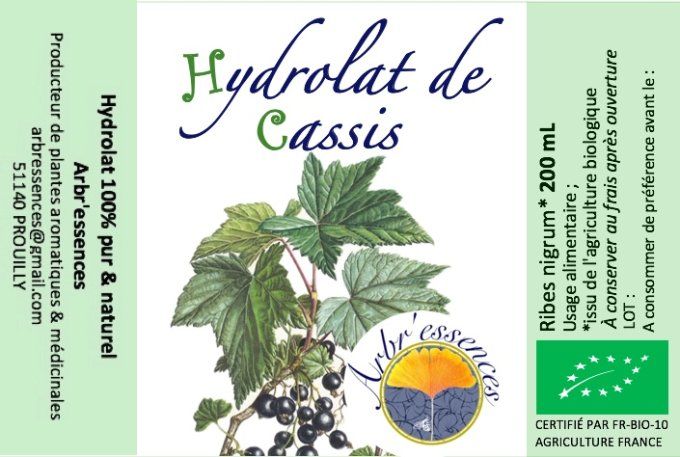 Hydrolat de cassis