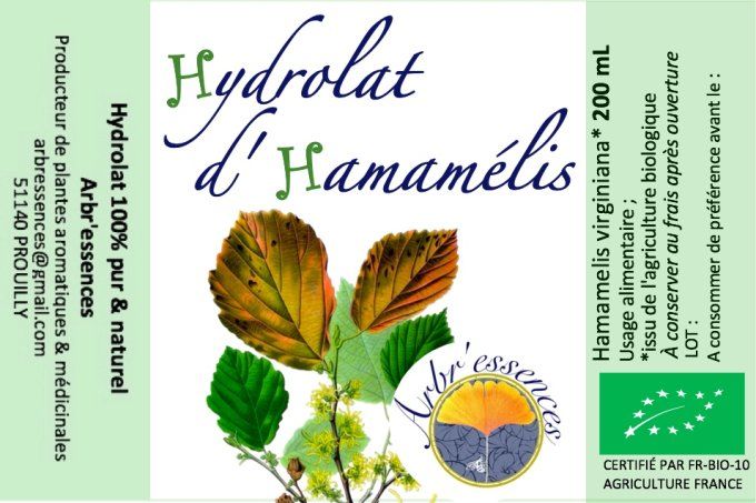 Hydrolat d'hamamélis