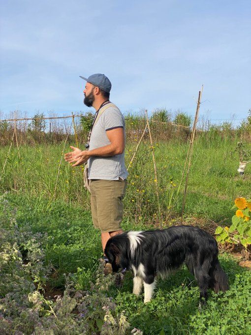 1 personne - Balade plantes cultivées et sauvages du dimanche du 28 juin