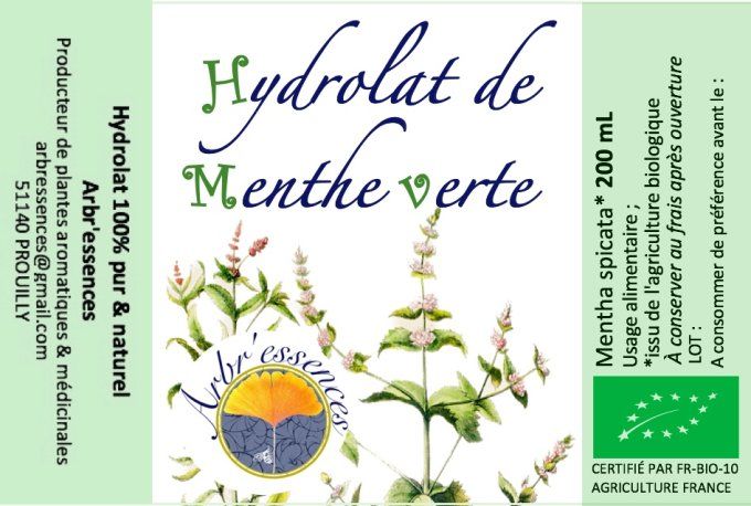 Hydrolat de menthe verte