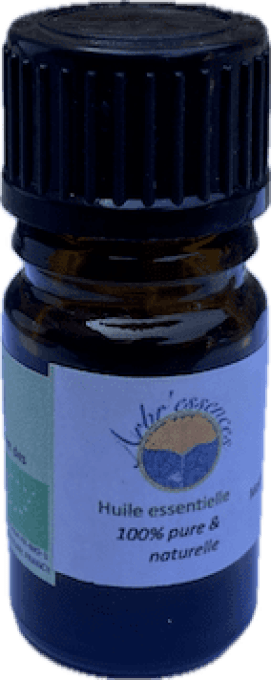 Huile essentielle de laurier noble