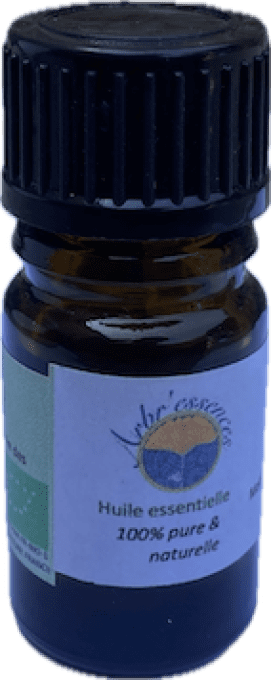 Huile essentielle de lavande aspic